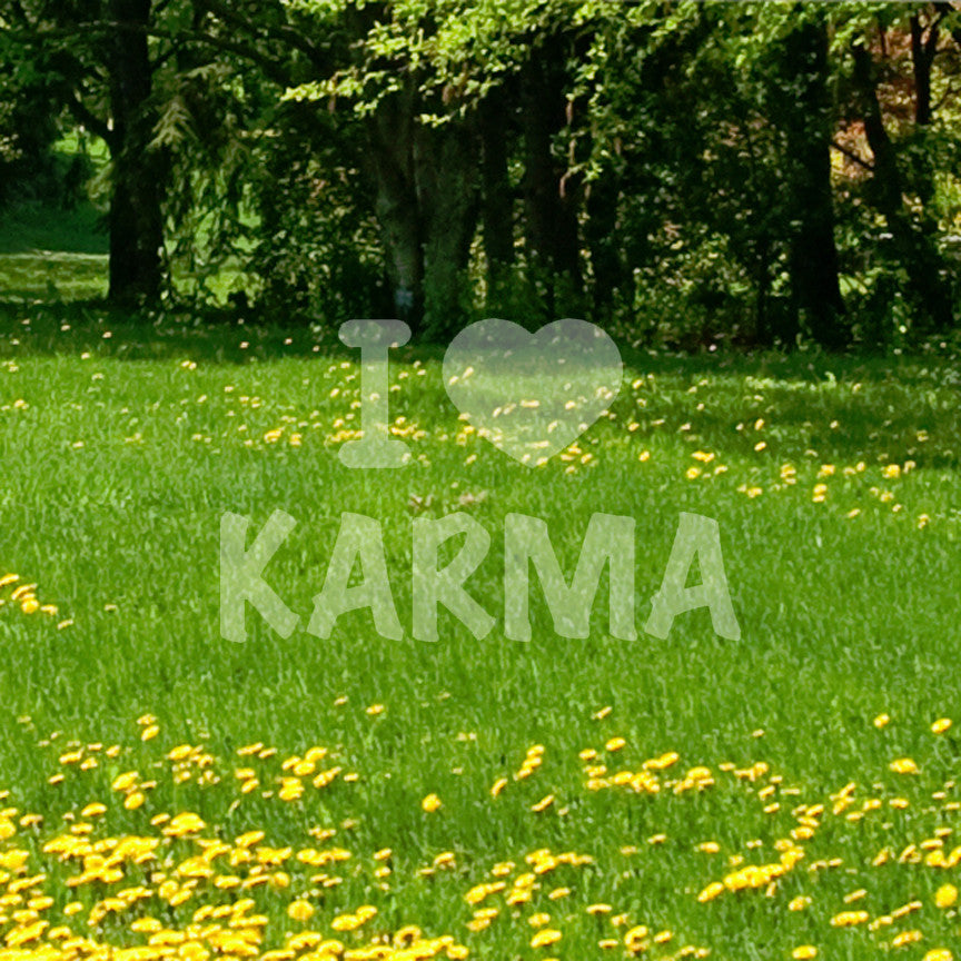 I Love Karma Heart