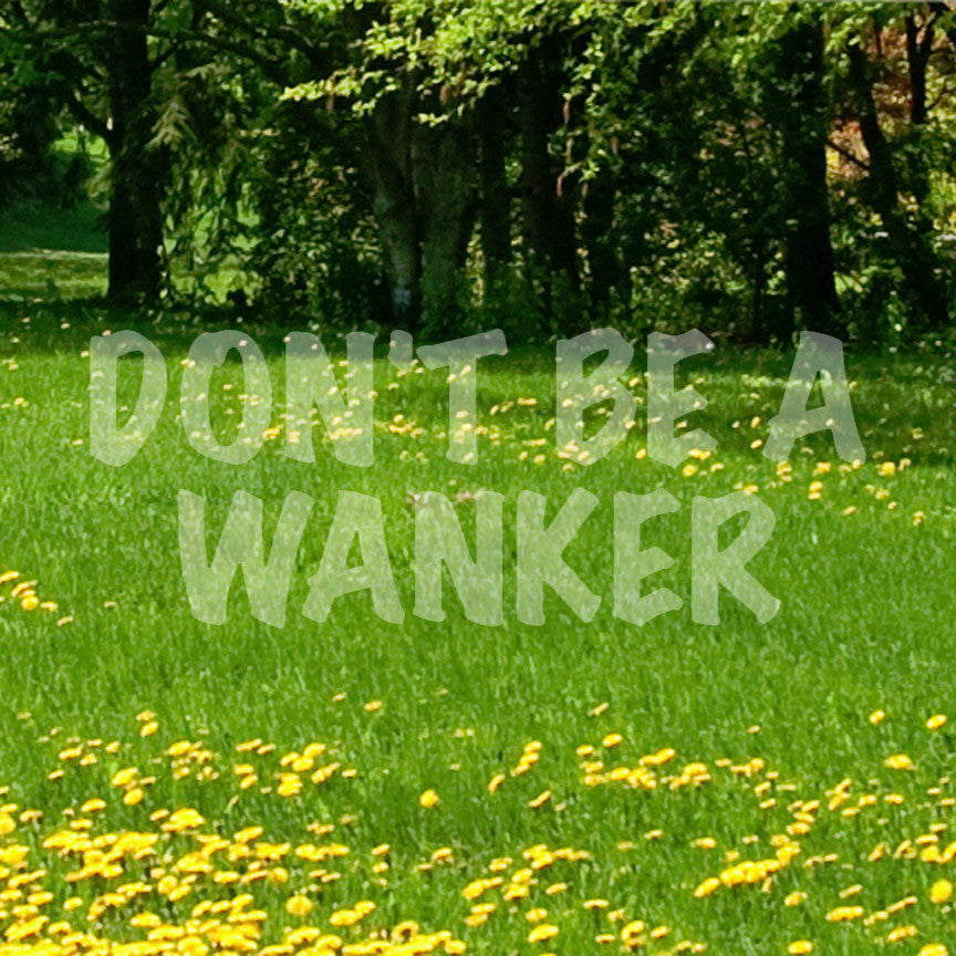 Don't Be A Wanker