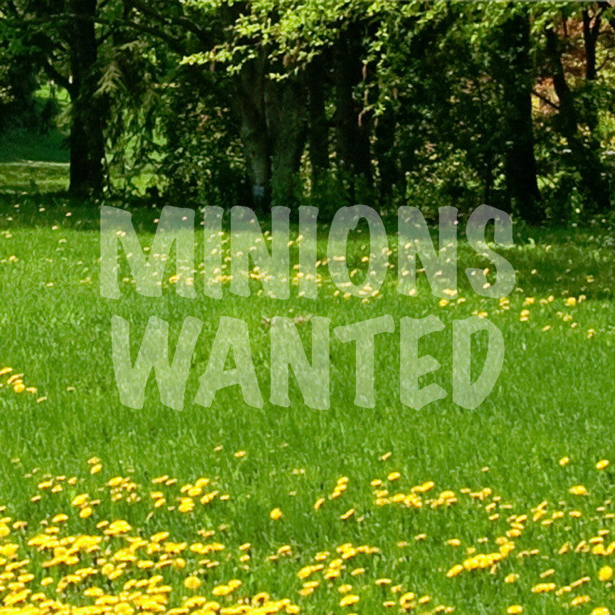 Minions Wanted