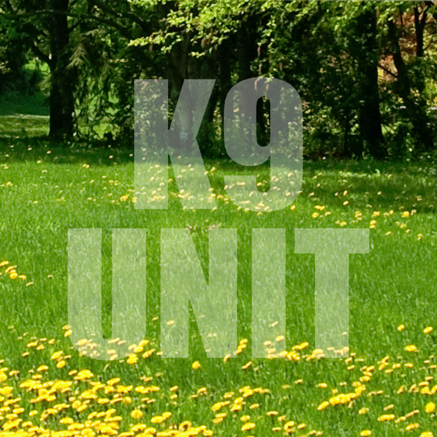 K9 Unit
