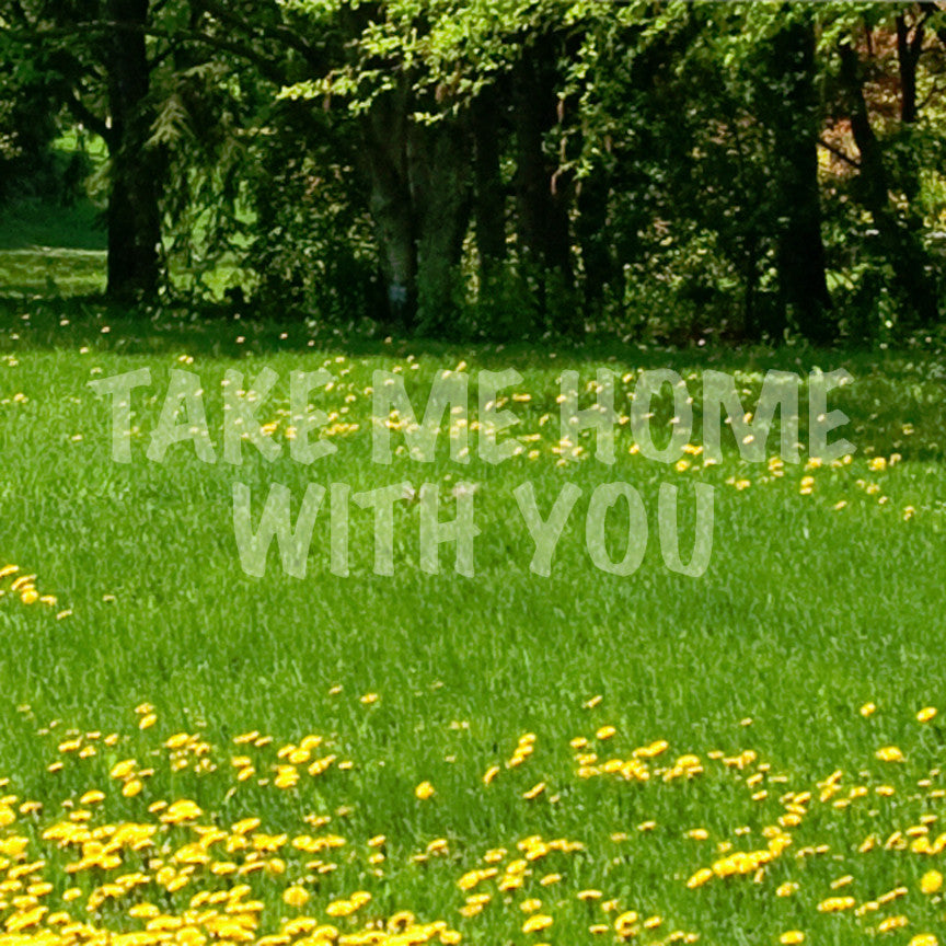 Take Me Home With You