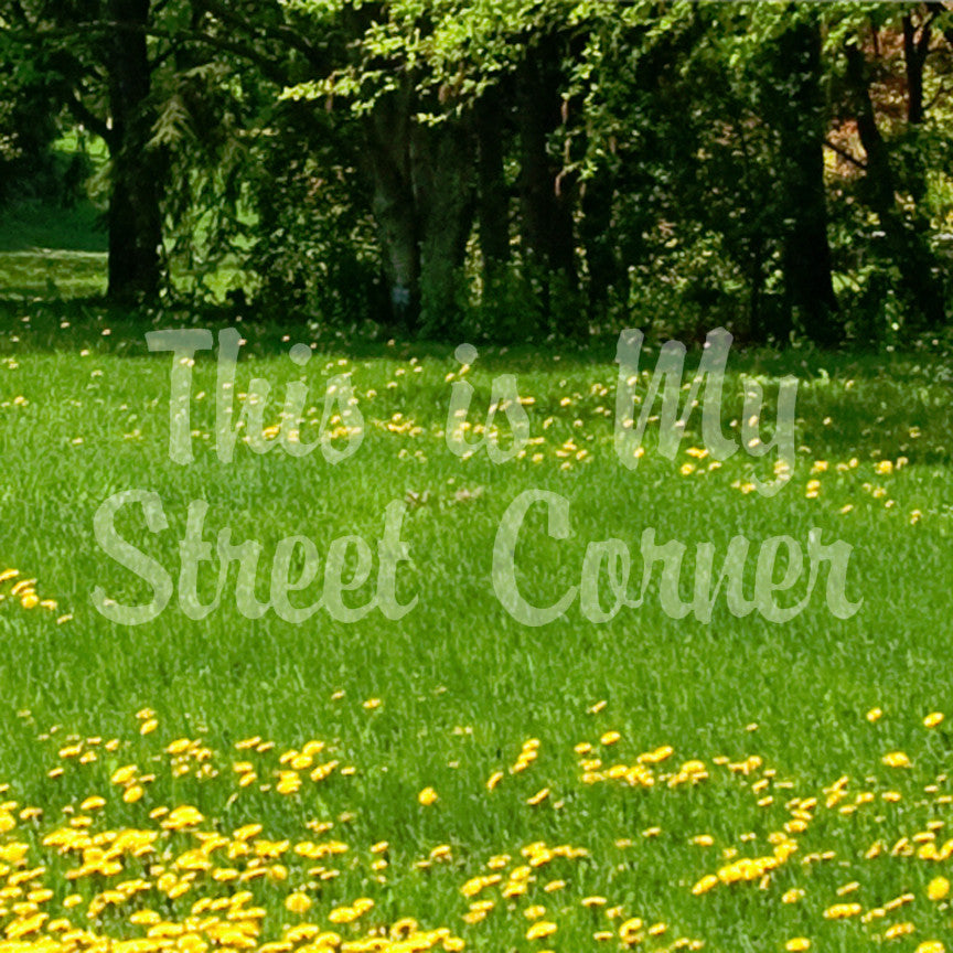 This Is My Street Corner