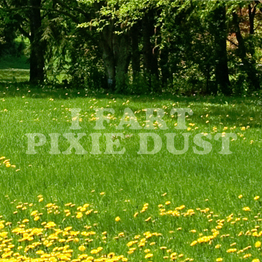 I Fart Pixie Dust