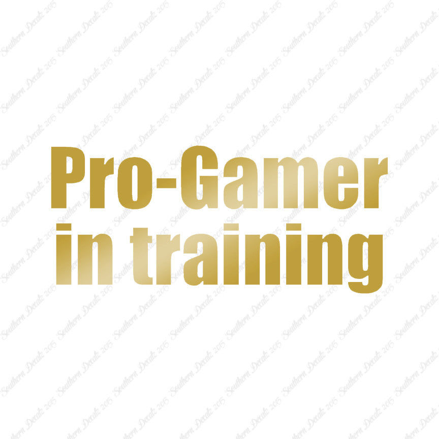Pro Gamer In Training