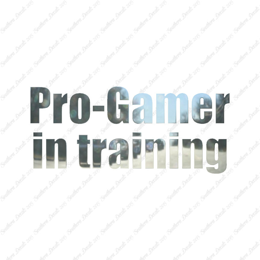 Pro Gamer In Training