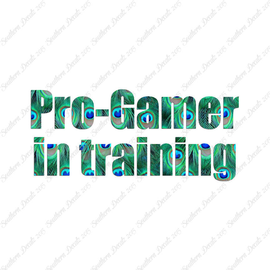 Pro Gamer In Training