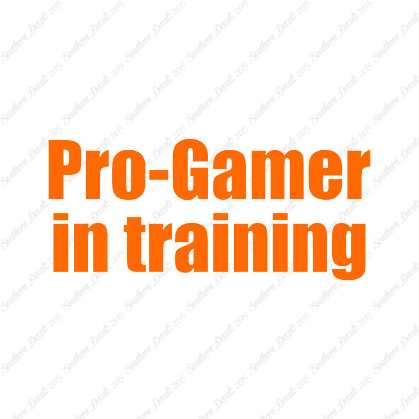 Pro Gamer In Training