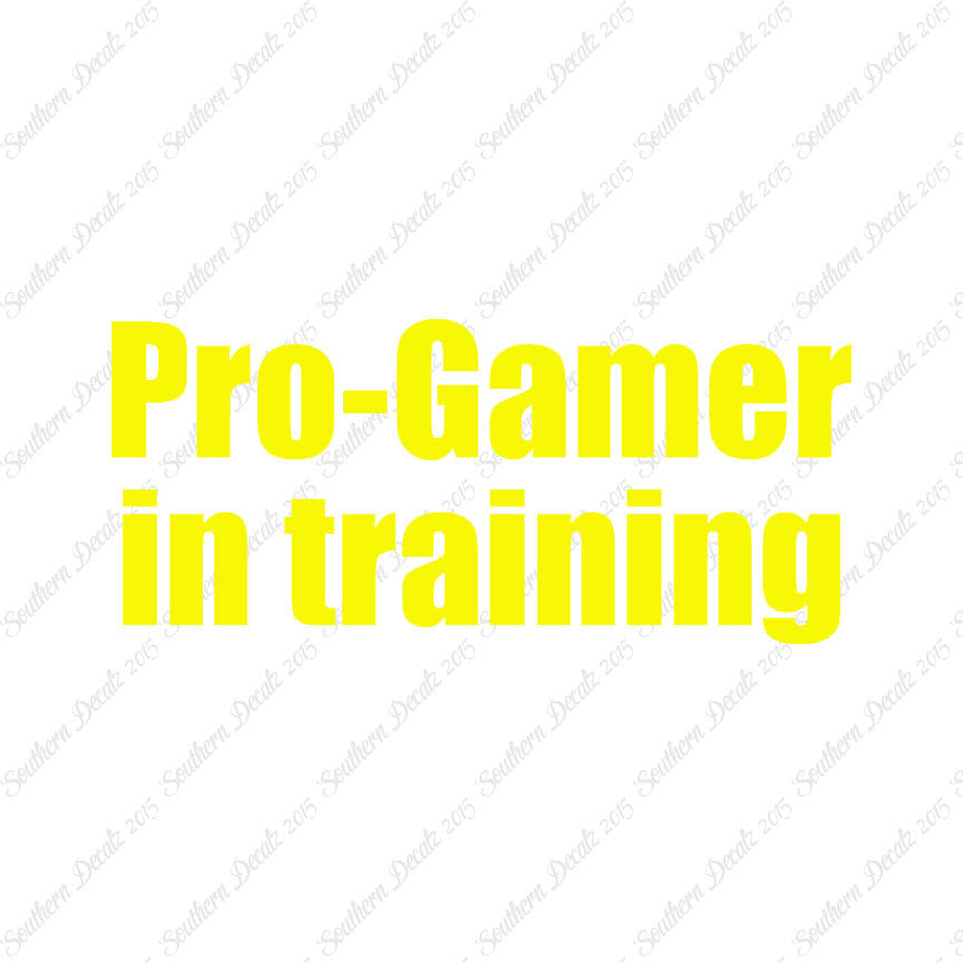 Pro Gamer In Training