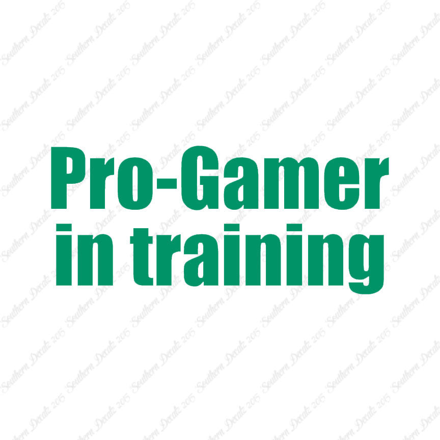Pro Gamer In Training