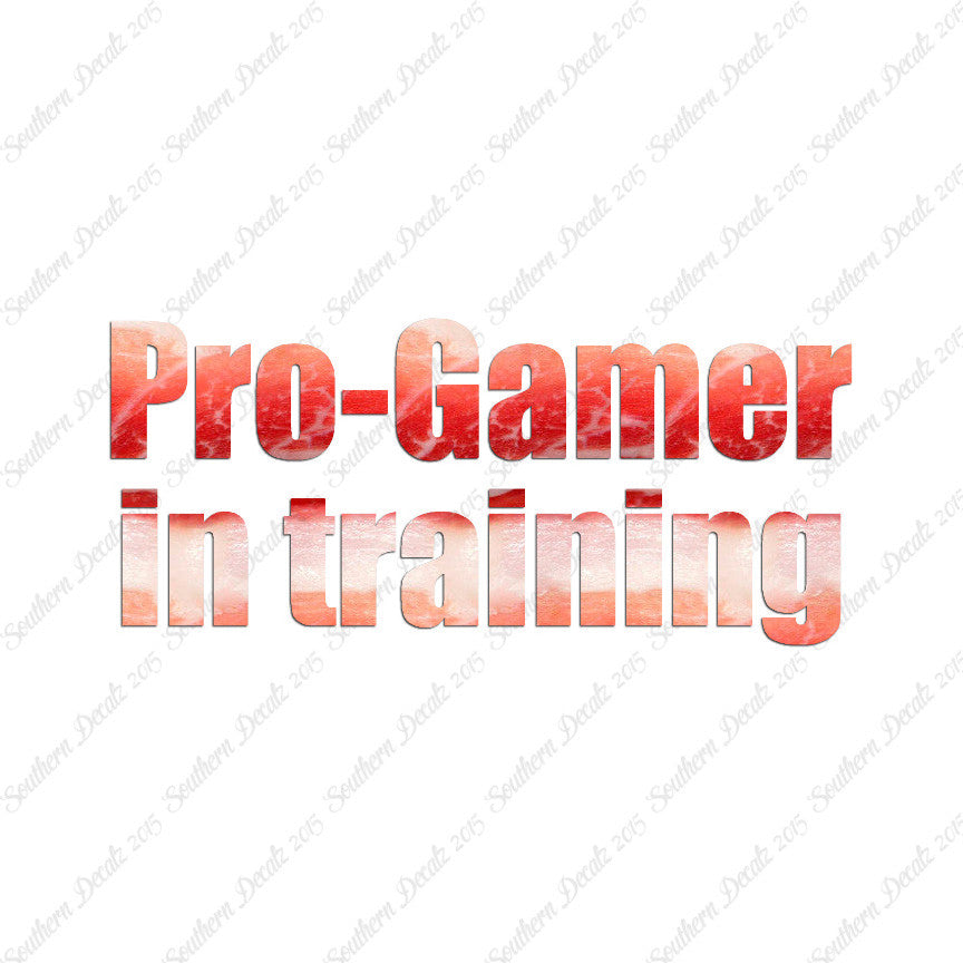 Pro Gamer In Training