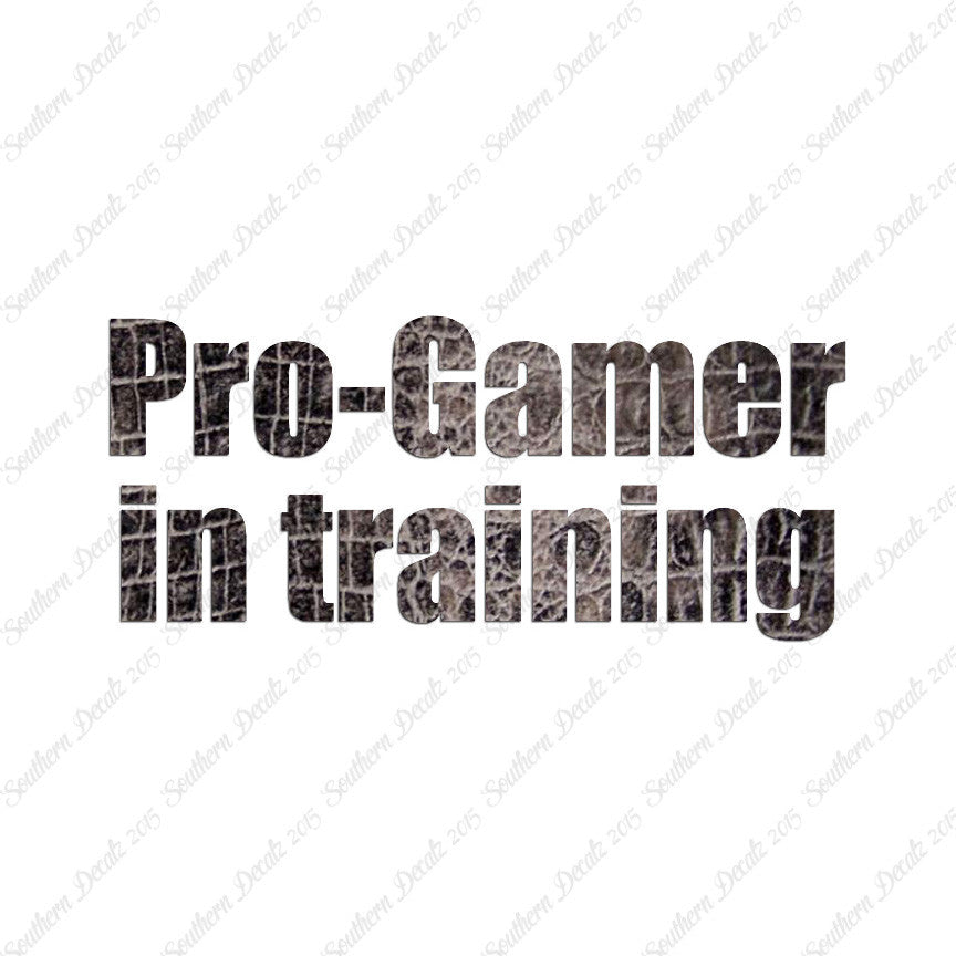Pro Gamer In Training