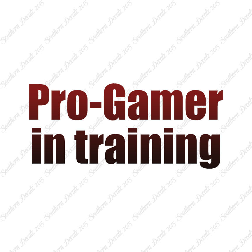 Pro Gamer In Training