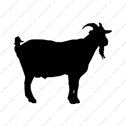Goat Billygoat