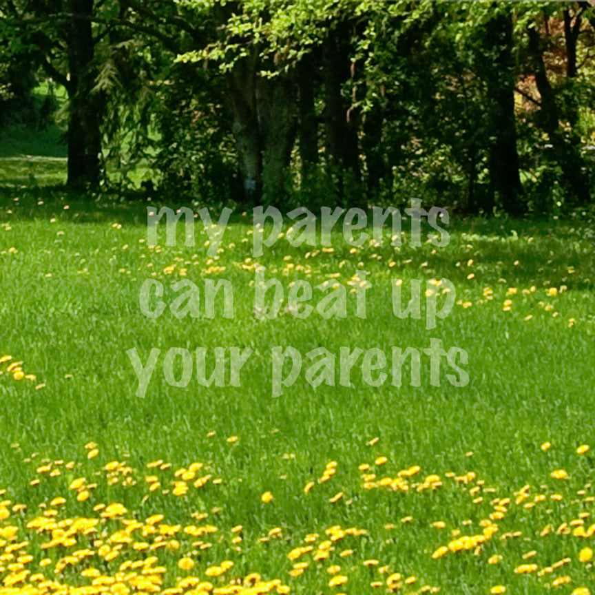 My Parents Can Beat Up Your Parents