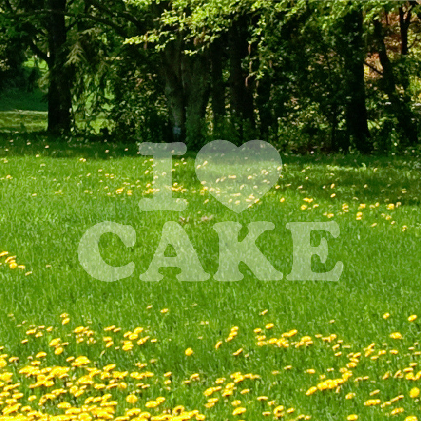 I Heart Love Cake