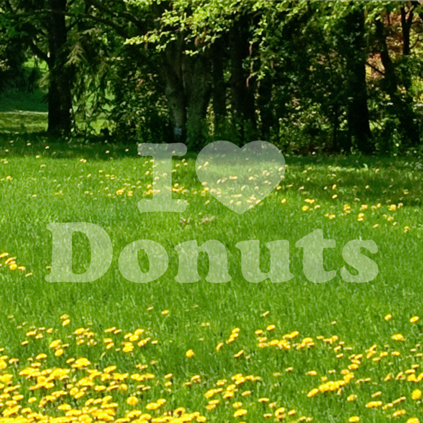 I Heart Love Donuts