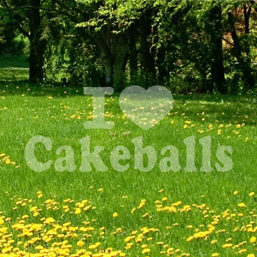 I Love Heart Cakeballs