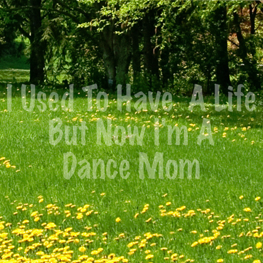 Used To Have A Life Now Dance Mom