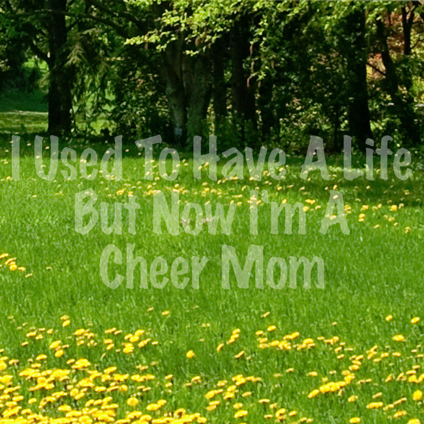 Used To Have A Life Now Cheer Mom