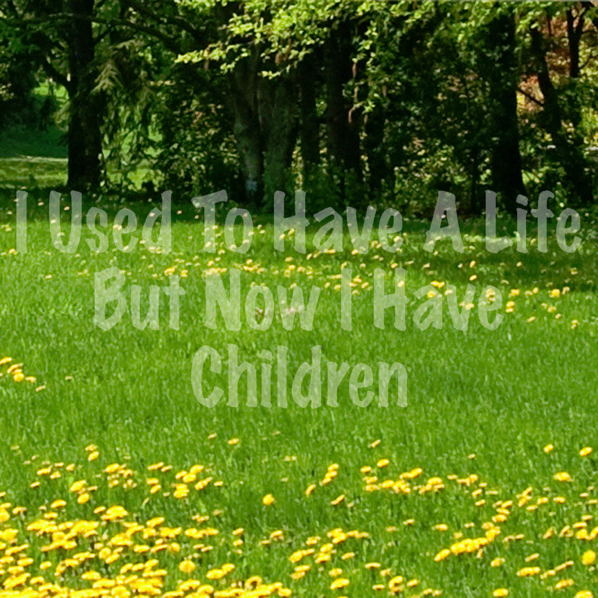 Used To Have A Life Now Children