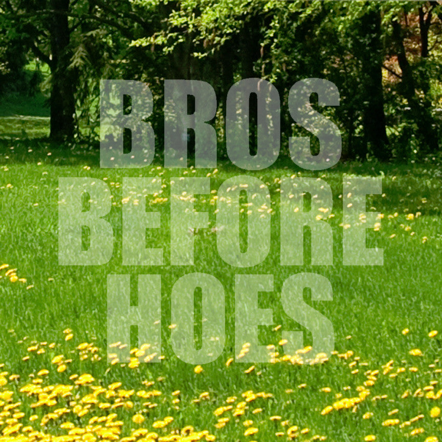 Bros Before Hoes