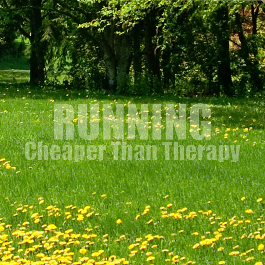 Running Cheaper Than Therapy