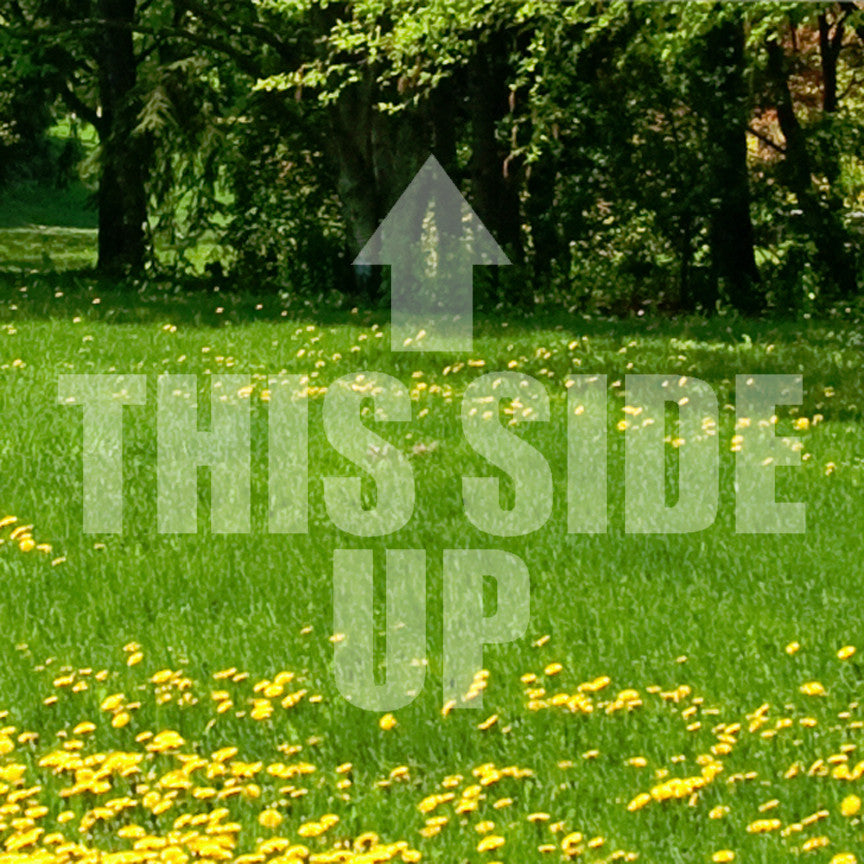 This Side Up Arrow