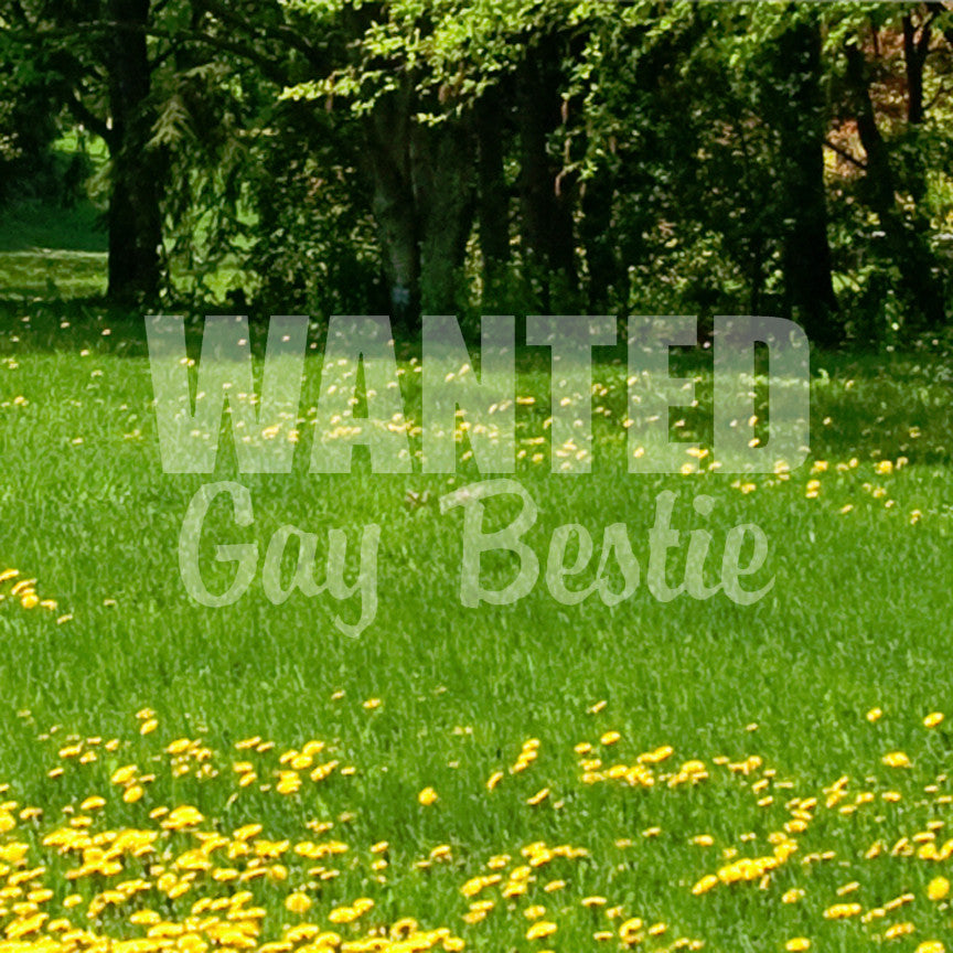 Wanted Gay Bestie