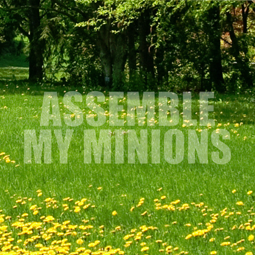 Assemble My Minions