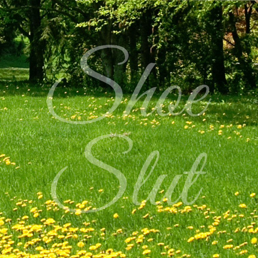 Shoe Slut