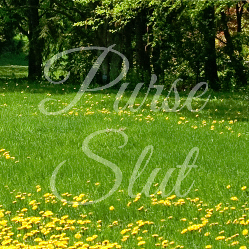 Purse Slut