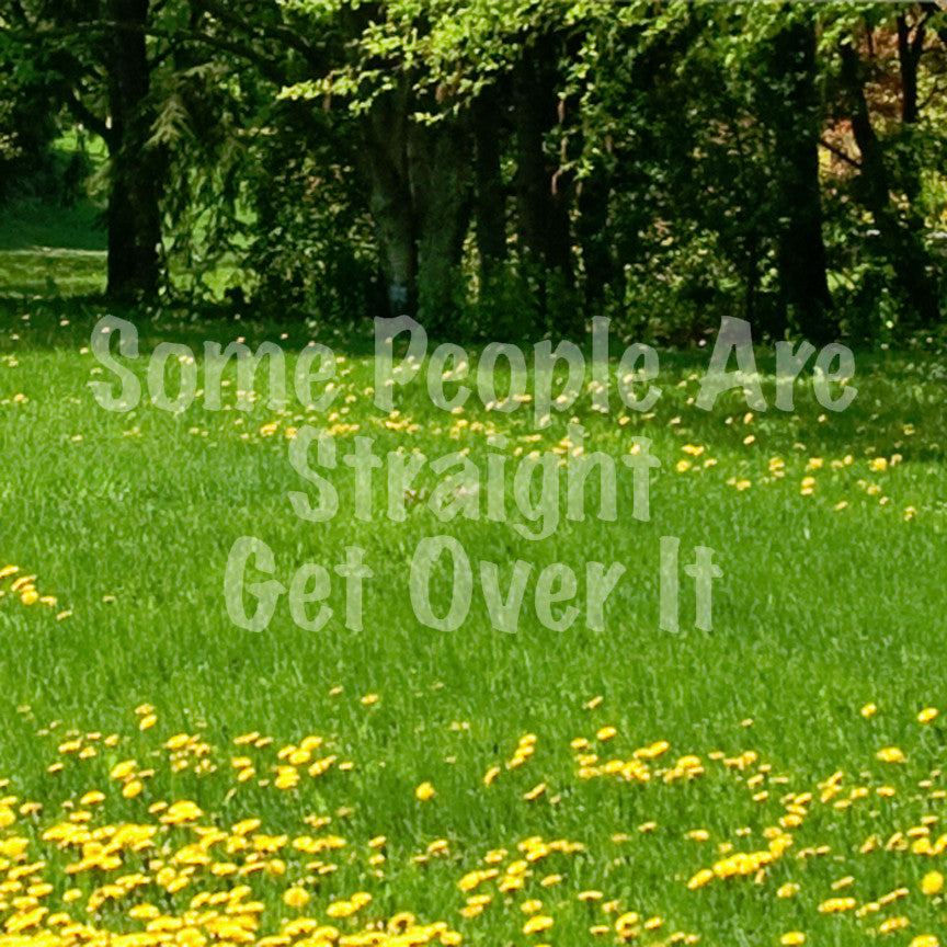 Some People Are Straight Get Over It