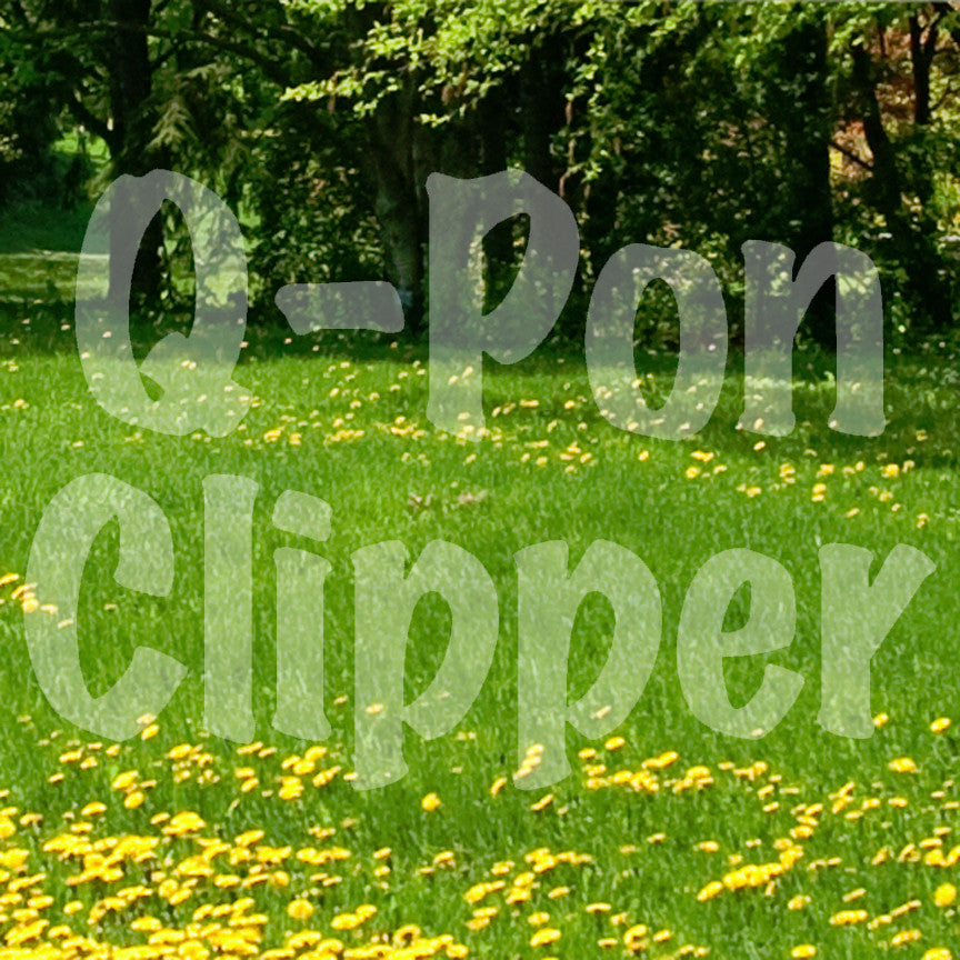 Q Pon Clipper Coupon