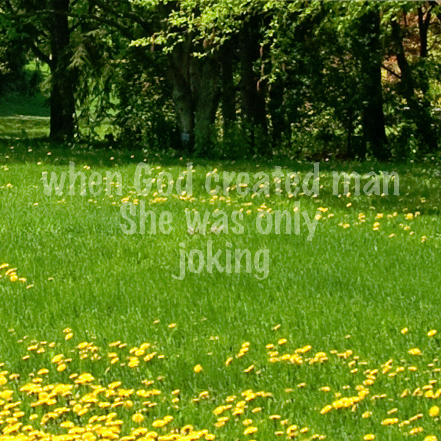When God Created Man She Was Joking