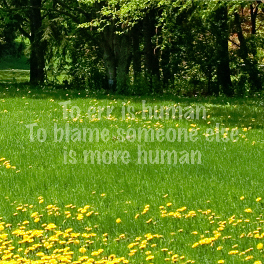 Too Err Human Blame Someone