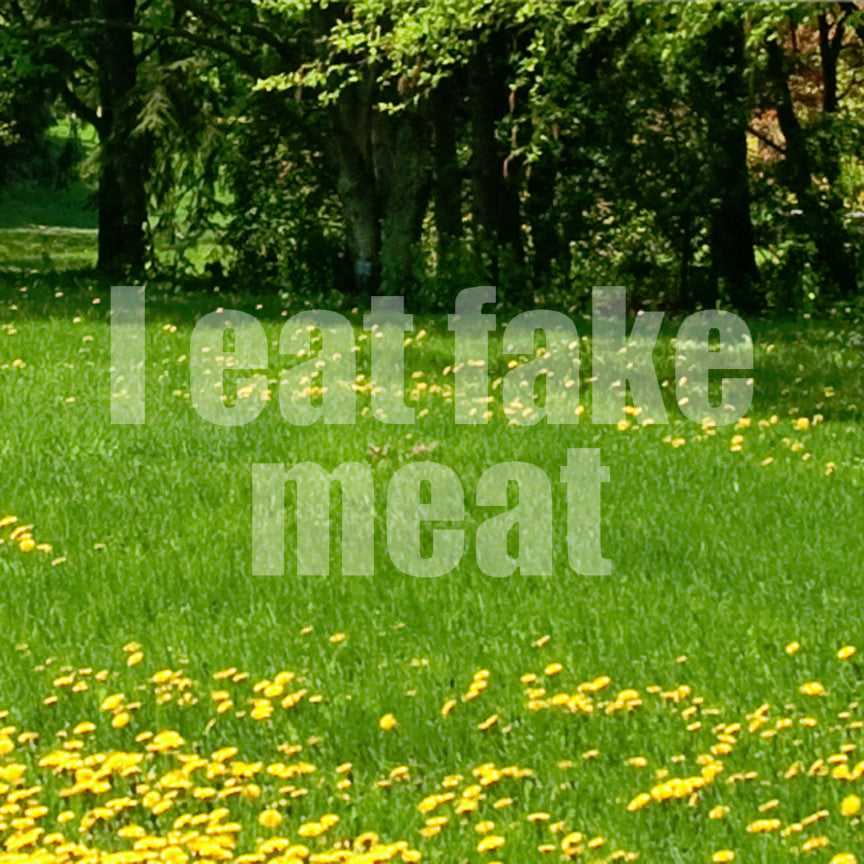 I Eat Fake Meat