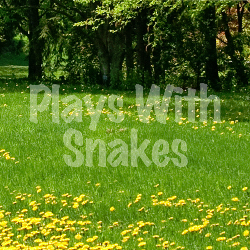 Plays With Snakes