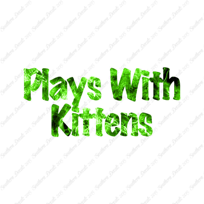 Plays With Kittens