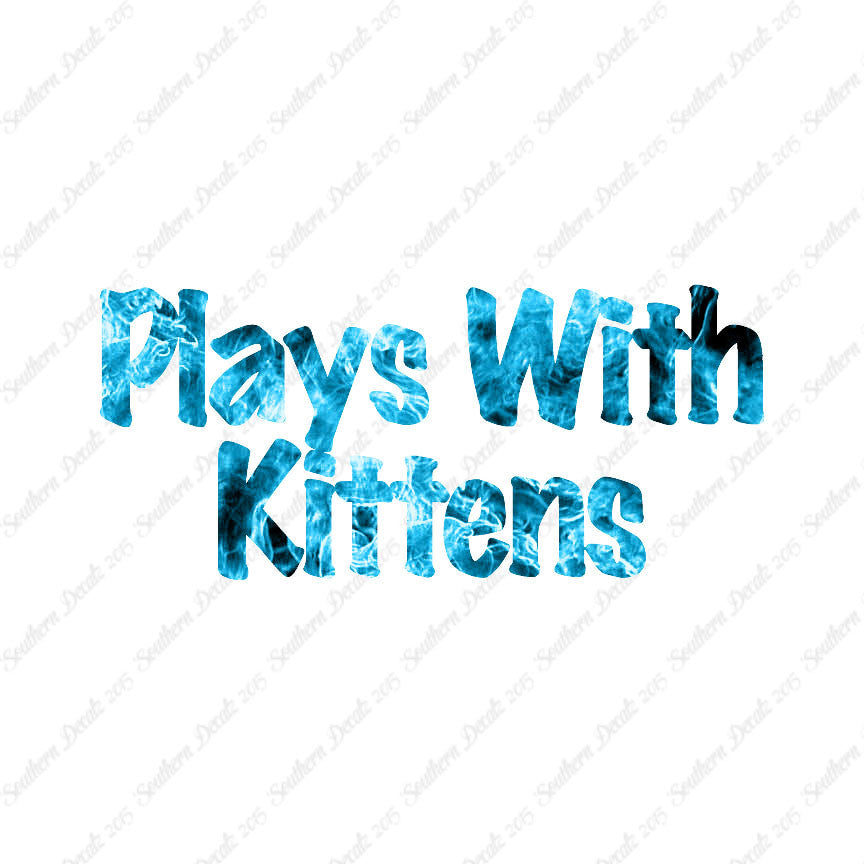 Plays With Kittens