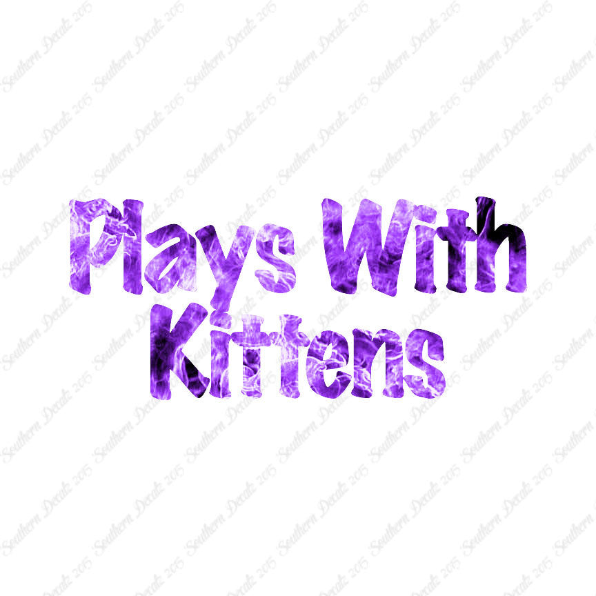 Plays With Kittens