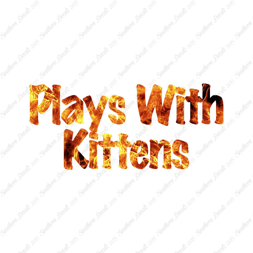 Plays With Kittens
