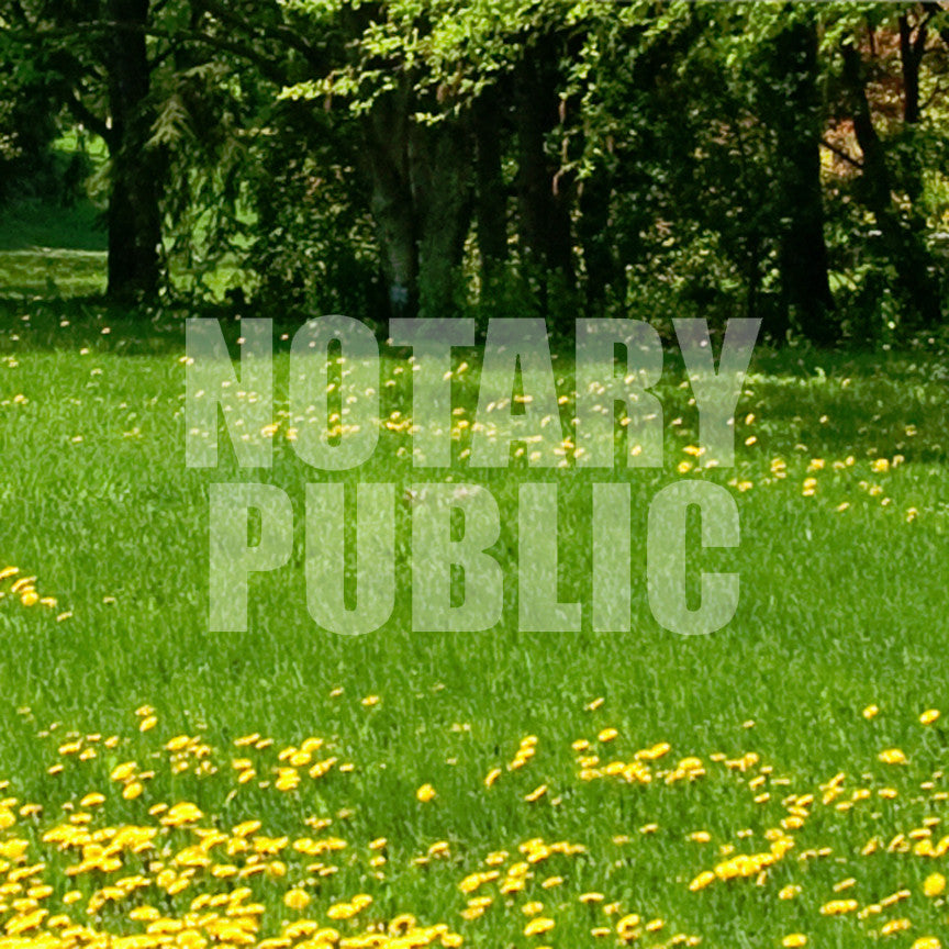 Notary Public