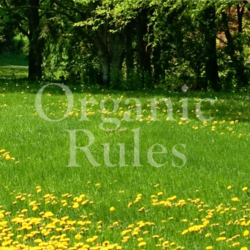 Organic Rules
