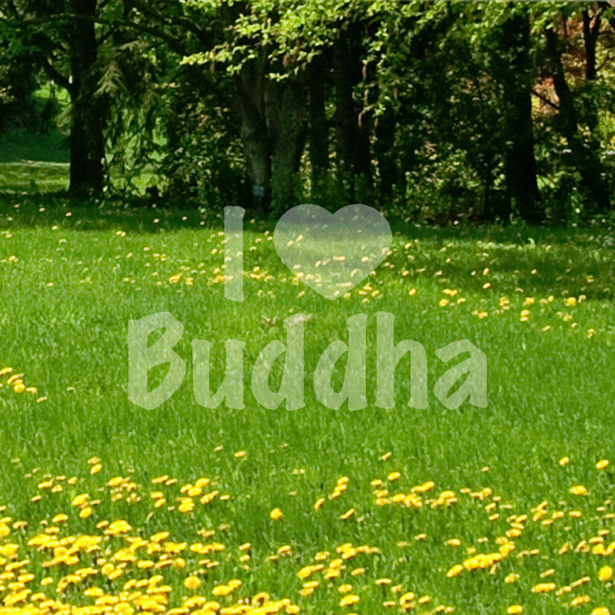 I Heart Buddha Love