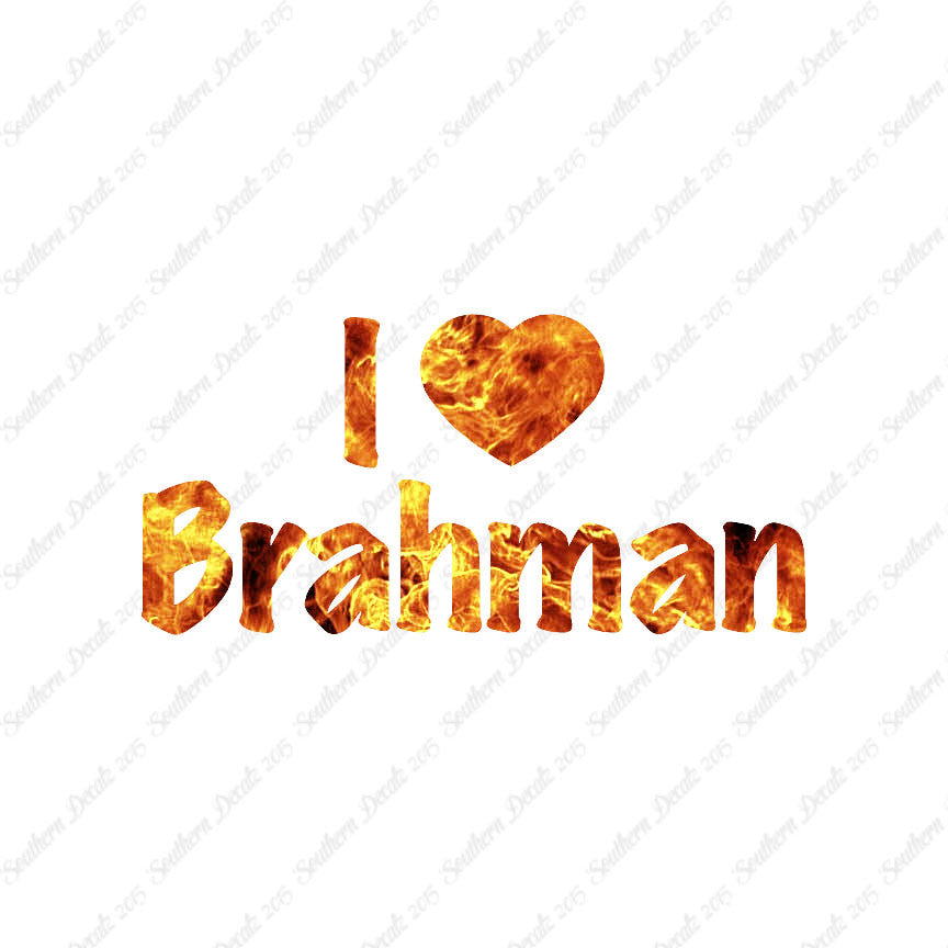 I Heart Brahman Love