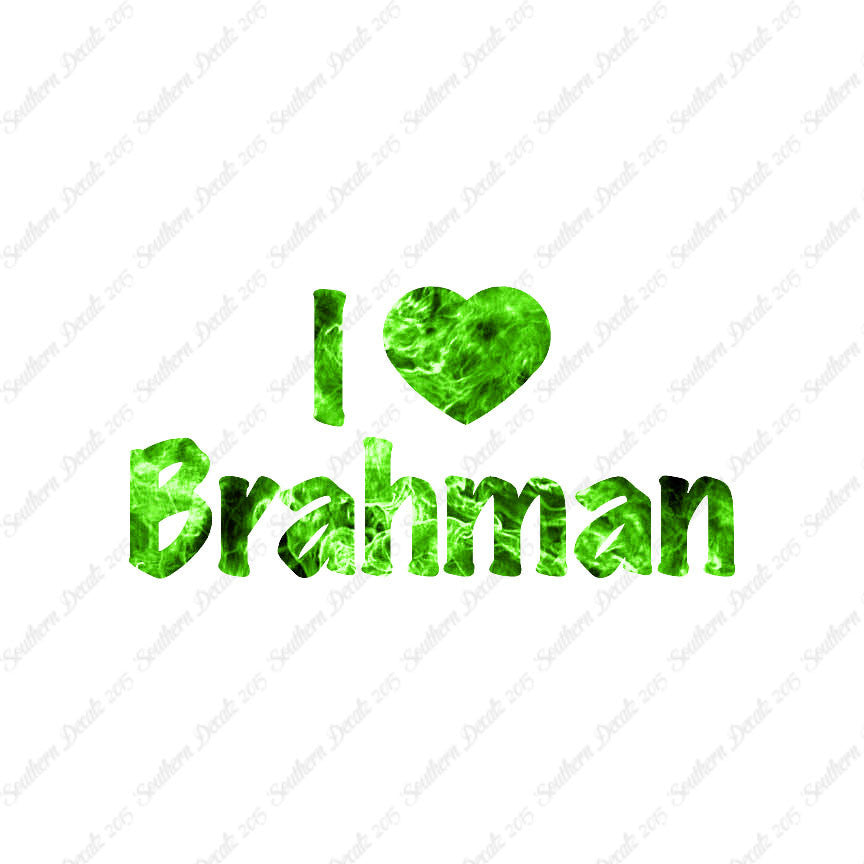 I Heart Brahman Love