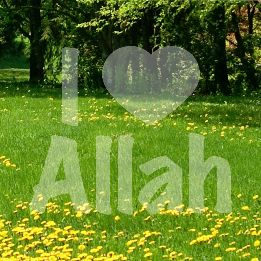 I Love Allah Heart