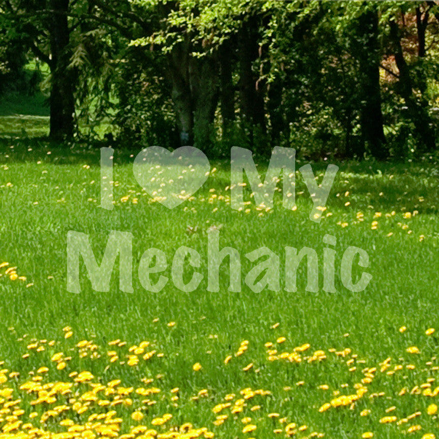 I Love My Mechanic Heart