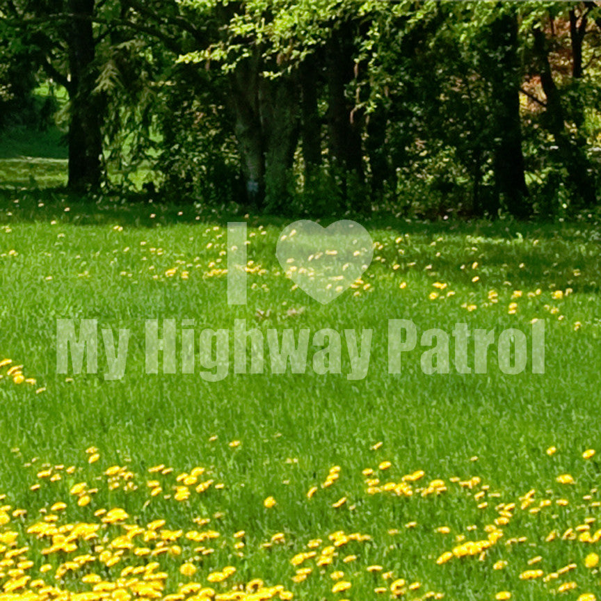 I Love Highway Patrol Heart