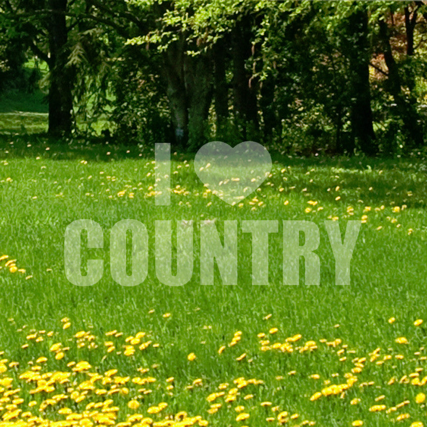I Love Country Heart